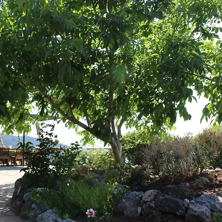 Sahin Tepesi Terrace Kır Evi *